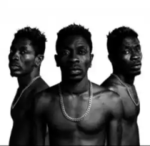Shatta Wale - Asylum Money